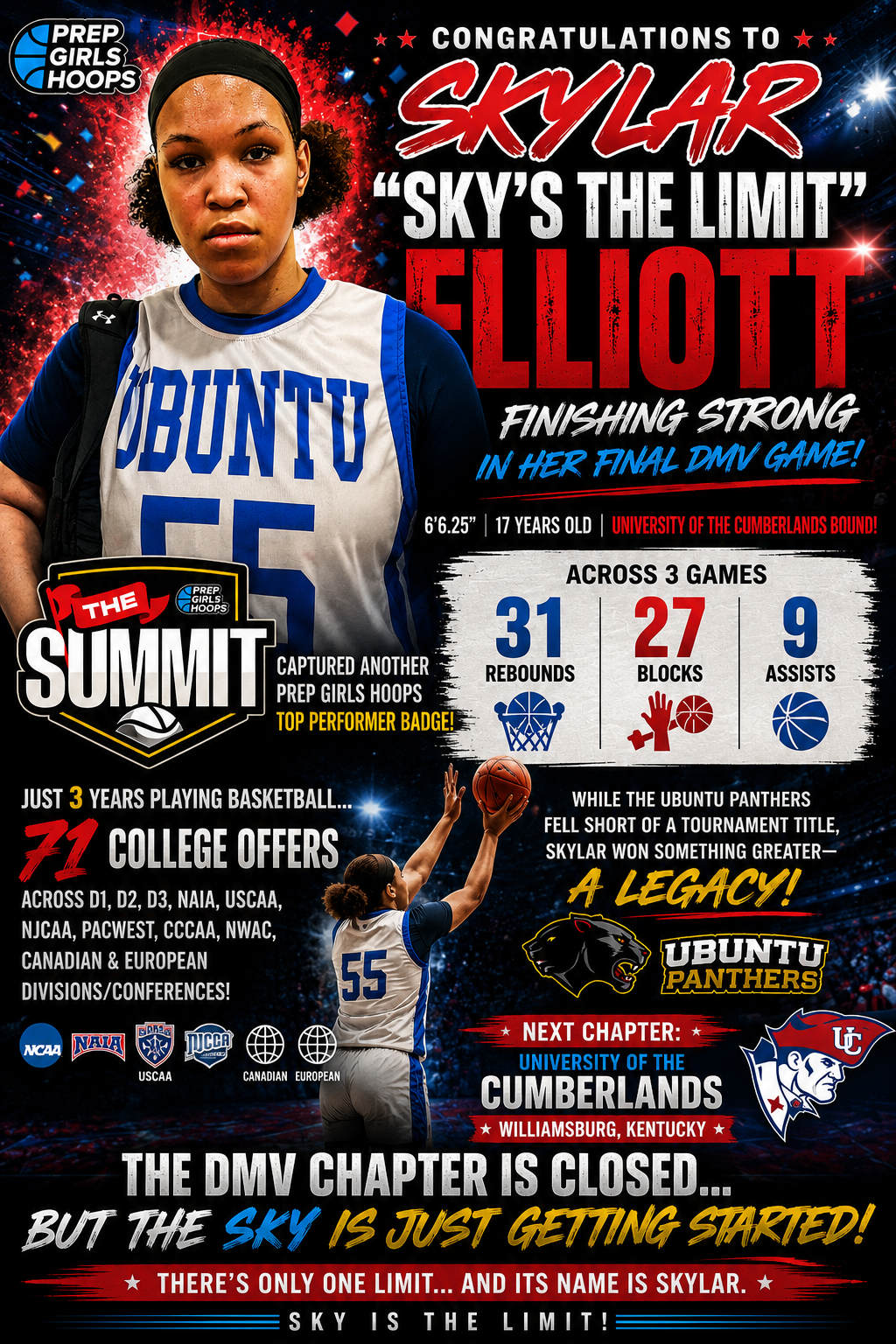 Skylar Elliott DMV Chapter Closed Poster