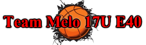 Team Melo E40